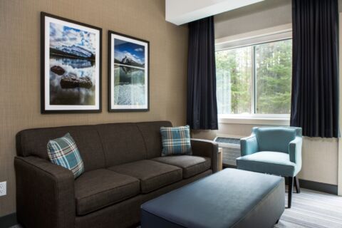 Queen Sofa Bed Ii