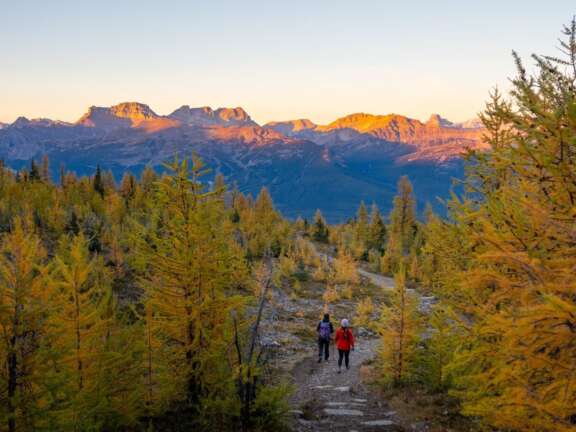 Lake Louise Fall Hike