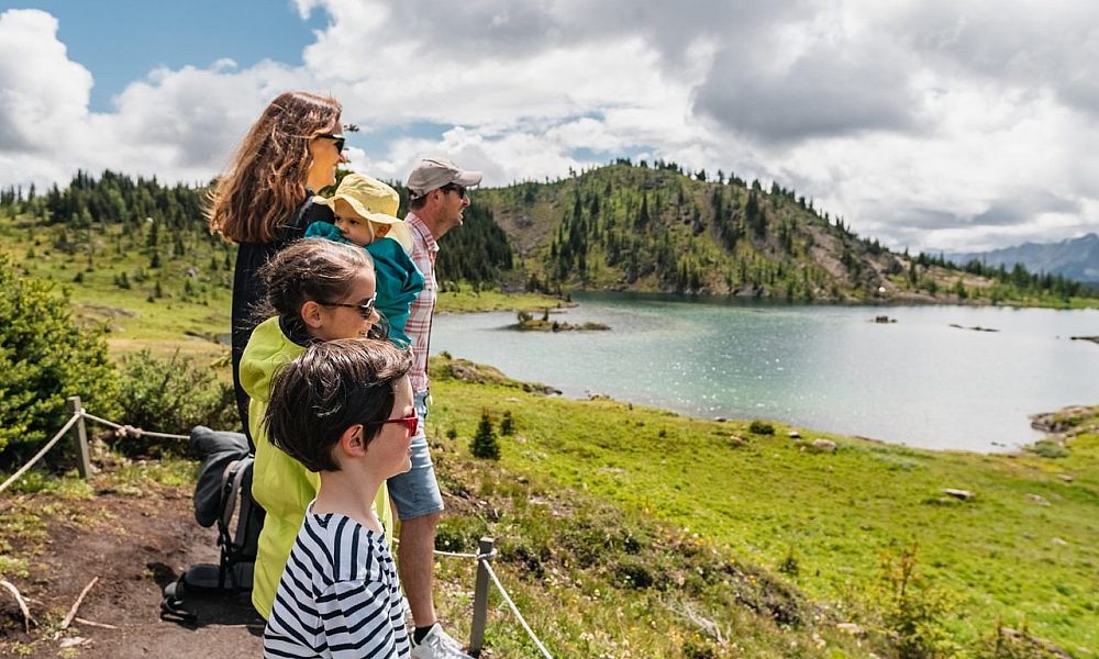 Summer Sunshine Village Family Sunshine Meadows 003 medium