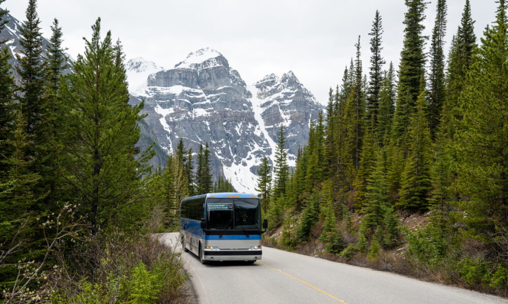 How-to-get-to-lake-louise-Mountaineer-Lodge