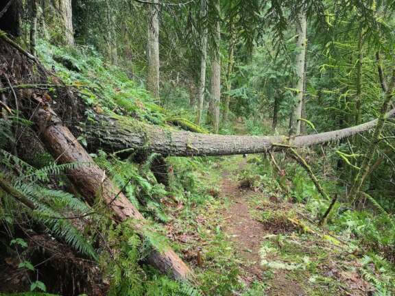 Lake Louise Tramline Trail Easyveazie Trailforks 2