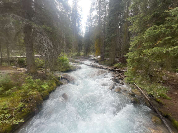 Lake Louise Tramline Trail Koquix Trailforks 2