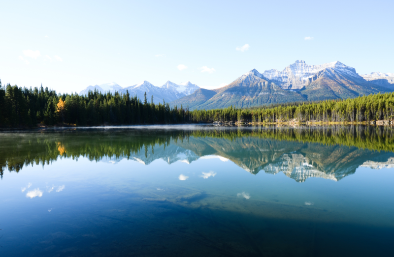 1 Herbert Lake