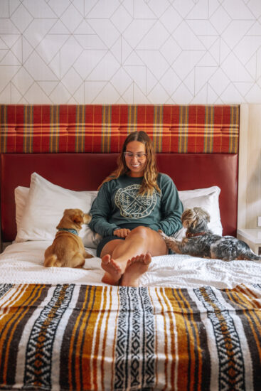 Mountaineer Lodge Dog Friendly Hotel Stays in Lake Louise