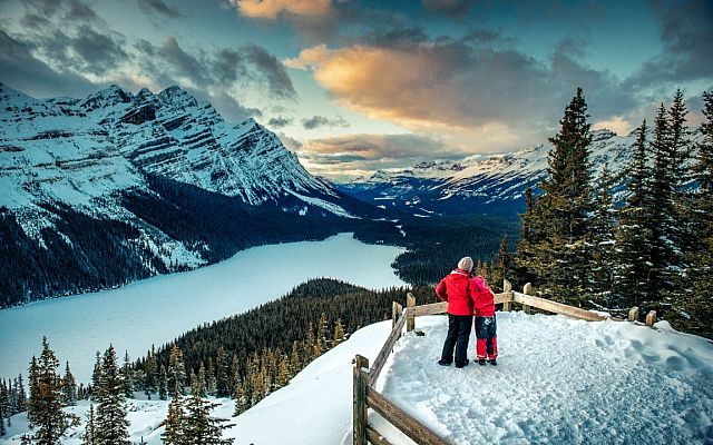 Peyto Lake Medium