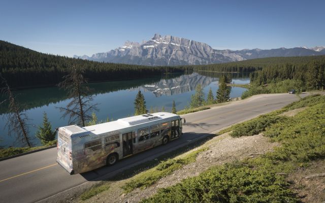 Transit Roam Nick Fitzhardinge 017 large