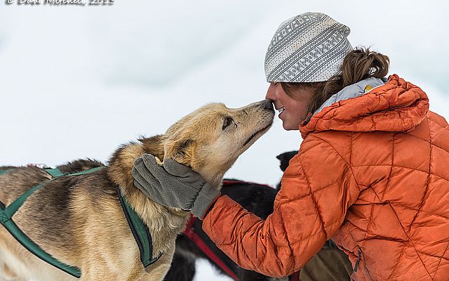 Kingmik Dog Sled Tours