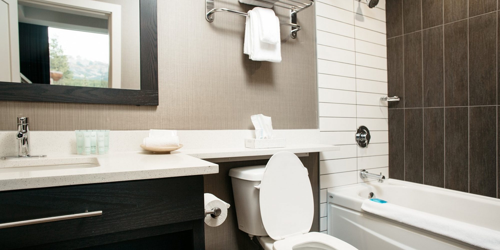 Standard Guest Room Bathroom